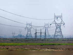 Power consumption may grow 10 pc this fiscal: Report