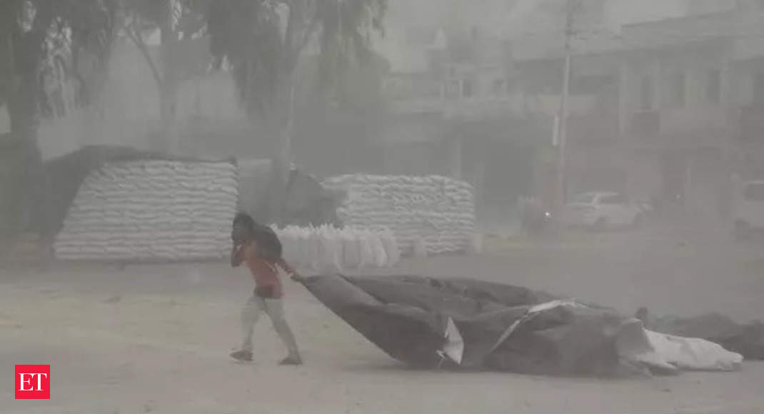 Rain, hailstorm to lash Delhi next week: IMD