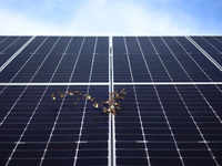 Solar industry India: US solar boom opens $2 billion Indian door to banned  products from China - The Economic Times