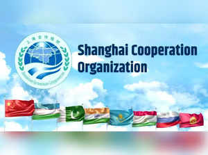SCO group on narcotics discusses methods to reject precursors to Afghan trafficking cartels: NCB