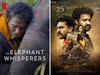 With four films shortlisted for Oscars, will 2023 be the year when India finally has a moment in the sun?