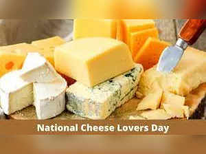 National Cheese Lover's Day 2023: Know significance, how to celebrate