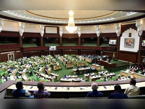 General view of Rajasthan Assembly