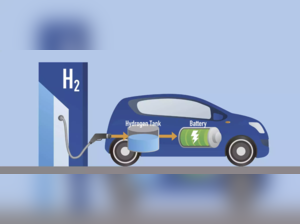 Triton EV is working in the field of electric vehicles as well as hydrogen vehicles.