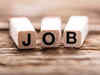 Formal jobs rise in November
