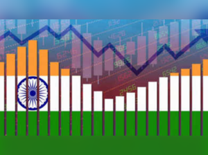 India a 'bright spot' in world economy right now: top UN economist