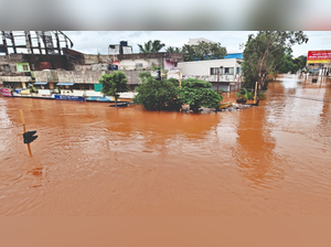 New study needed to assess effect of Almatti on Maha floods: Vadnere
