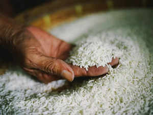 Rice prices up 15%, Palm oil seen rising too