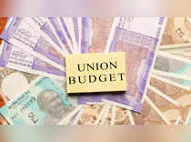 Union Budget expectations: Pragmatism & hope