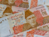 Pakistan's foreign loan inflows slow down: Ministry of Economic Affairs