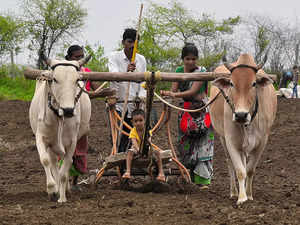 What Budget 2023 can do to boost India's rural economy:Image