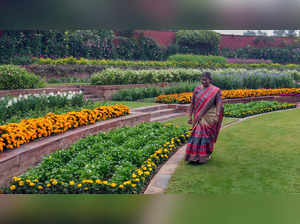 New Delhi: President Droupadi Murmu visits the Rashtrapati Bhavan gardens 'Amrit...