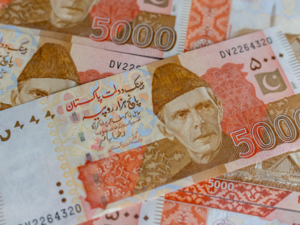 Pakistani rupee's weakness 'still has further to run'
