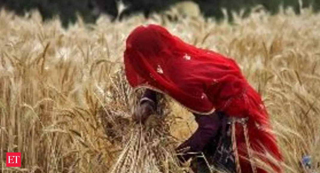 Indian farm sector performed well, but needs re-orientation: Eco Survey