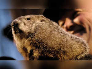 Groundhog Day 2023: Here’s all you need to know about the American tradition