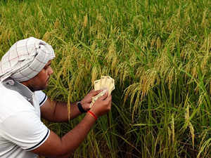 loan-schemes-dont-reach-59-per-cent-of-rural-india-survey