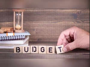 Himachal CM Sukhvinder Singh Sukhu calls Union Budget 'artful trickery'; says it fails to address unemployment, inflation