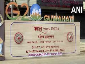 Assam to host Sustainable Financial Working Group meeting  under G20 on Feb 2-3