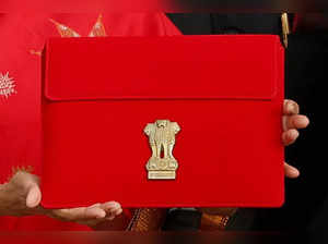 India's federal budget 2023
