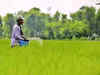 Govt sets up task force to promote SSP fertiliser