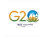 G20's sustainable finance group to work on capacity building in segment: Official