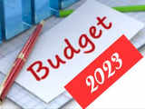 Budget 2023: Is it the end of the 80C investment industry?