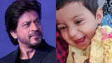 Shah Rukh Khan gives sweetest response to toddler who said she didn't like 'Pathaan'