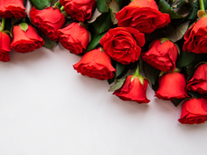 February 7 - Rose Day