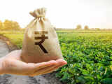 Additional Rs 1.45 lakh-cr budget for FCI is indicative estimate; food subsidy 'adequate' for procurement: Govt