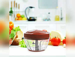 Best Vegetable Chopper under Rs 500 in India