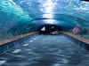 7 Biggest Aquariums To Visit In 2023