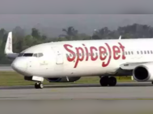 SpiceJet flight