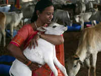 animal husbandry: Latest News & Videos, Photos about animal husbandry | The  Economic Times - Page 1