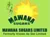 Mawana Sugars to sell 600 acres land at Rajpura