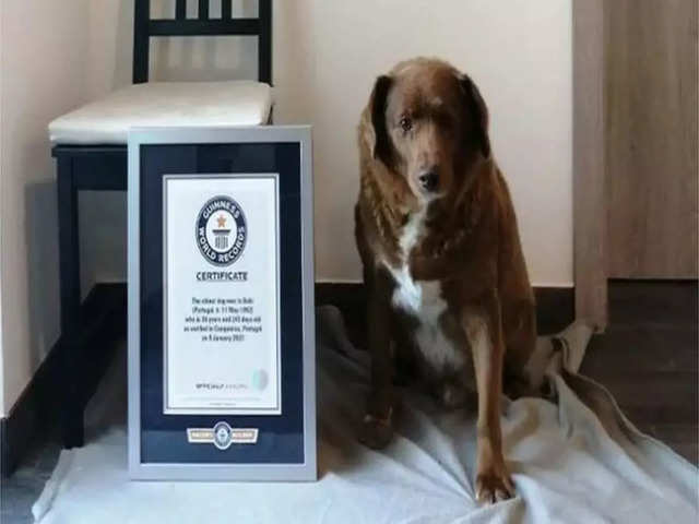 Guinness World of Records