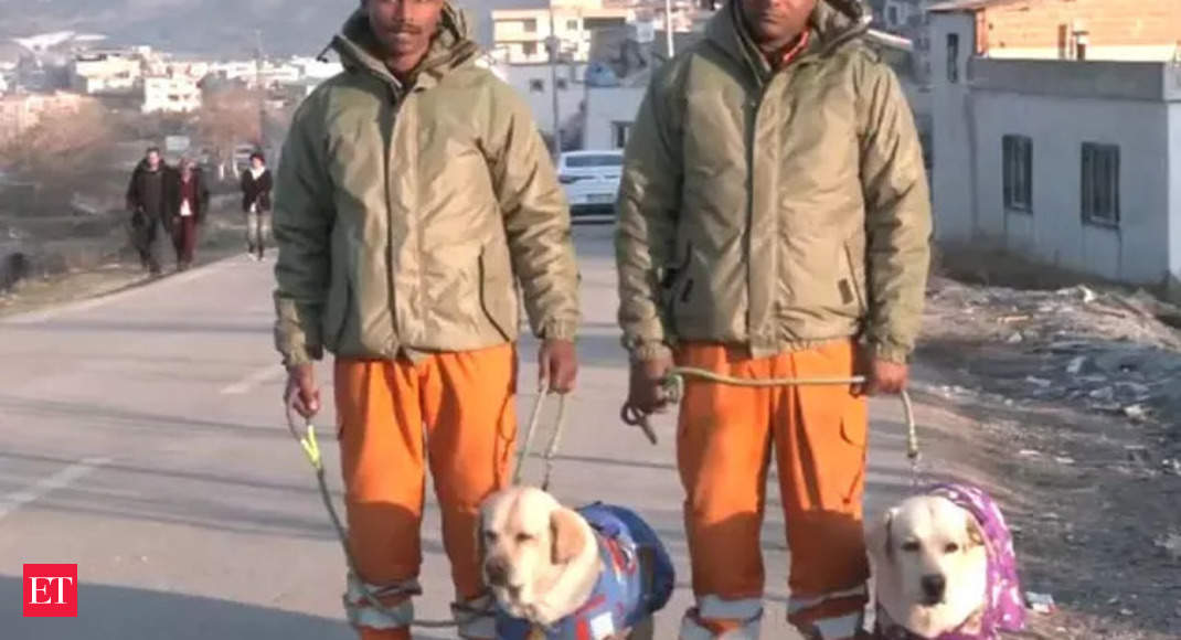 Turkey earthquake: Sniffer dogs of NDRF save a six-year-old girl trapped under the debris