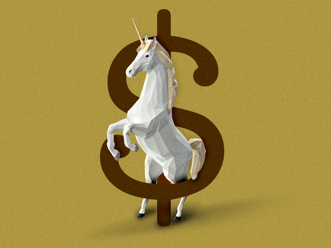 Startup unicorns