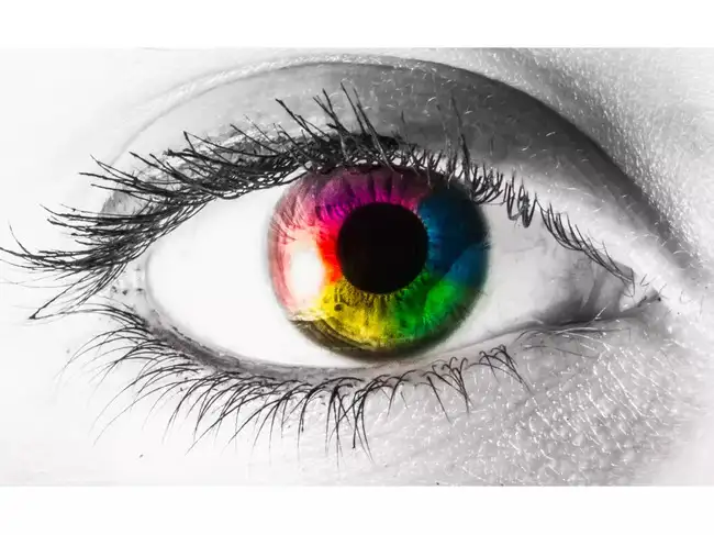 The dynamic DNA: Thank your parents for hair, skin & eye colour, and ...