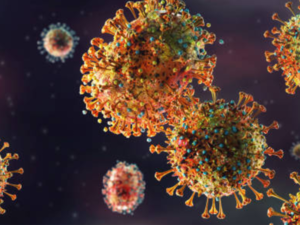 Marburg virus disease: Check symptoms, diagnosis, spread, key details