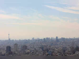 A general view of the city skyline in Tehran