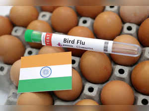 Illustration shows test tube labelled "Bird Flu", eggs and India flag