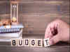 West Bengal: State Finance Minister Chandrima Bhattacharya presents budget