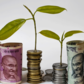 Turning tide? Midcap, smallcap funds see 2x more inflows than largecaps in last 3 quarters