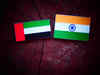 India-UAE Business Council launched to boost bilateral trade and investment