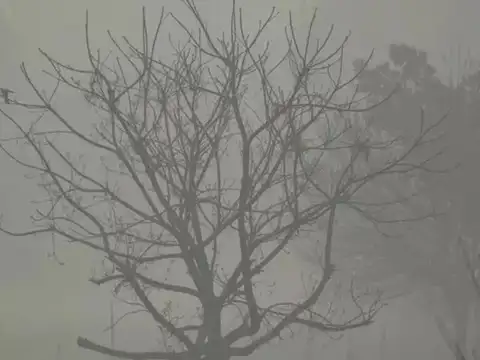 Unusual temperature