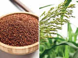 Millets in India: Here's all you need to know about this superfood