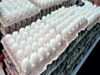 Amid protests by local producers, Sri Lanka to import 2 million eggs from India