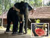 In a first, Kerala temple introduces robotic elephant for performing ritual duties