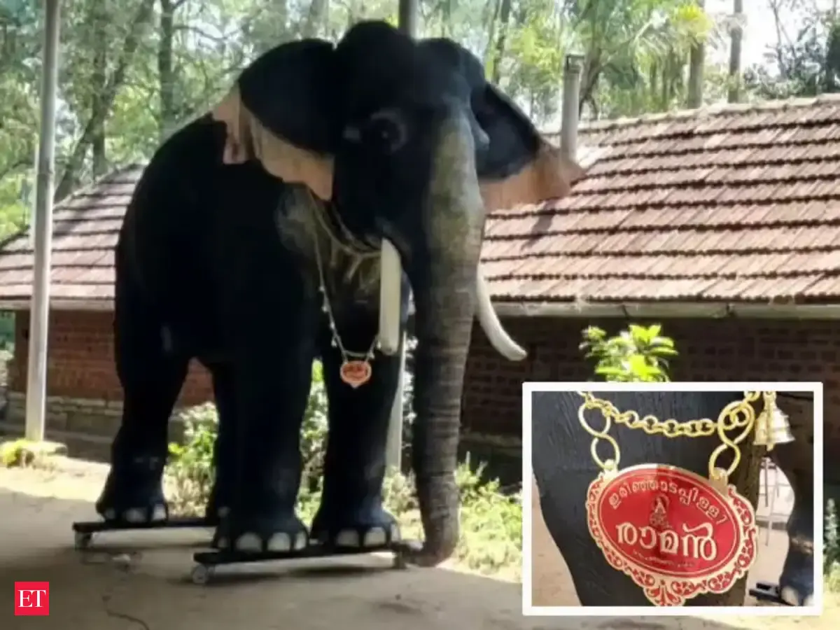 Kerala temple: In a first, Kerala temple introduces robotic elephant ...