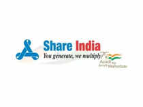 Share India Securities Ltd approves Terms of Rights Issue, Company added to MSCI Domestic Small Cap Index